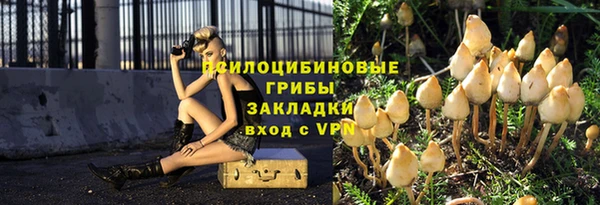 прущий лед Инсар