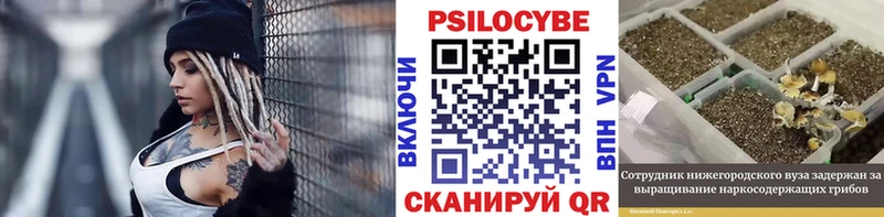 Купить где  Камбарка  Галлюциногенные грибы мухоморы 